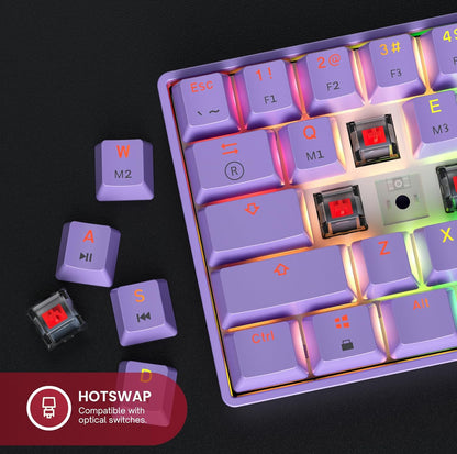 Mechanical Gaming Keyboard - 61-Key RGB LED Backlit Wired, Programmable for PC/Mac Gaming (Gateron Optical Brown, Lavender) with Multi-Color Illumination.